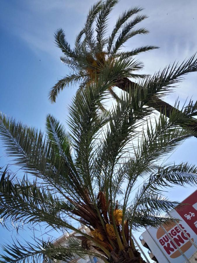 Appartement Stylowy Apartament Harmonia Playa Del Cura, Hiszpania à Torrevieja Extérieur photo