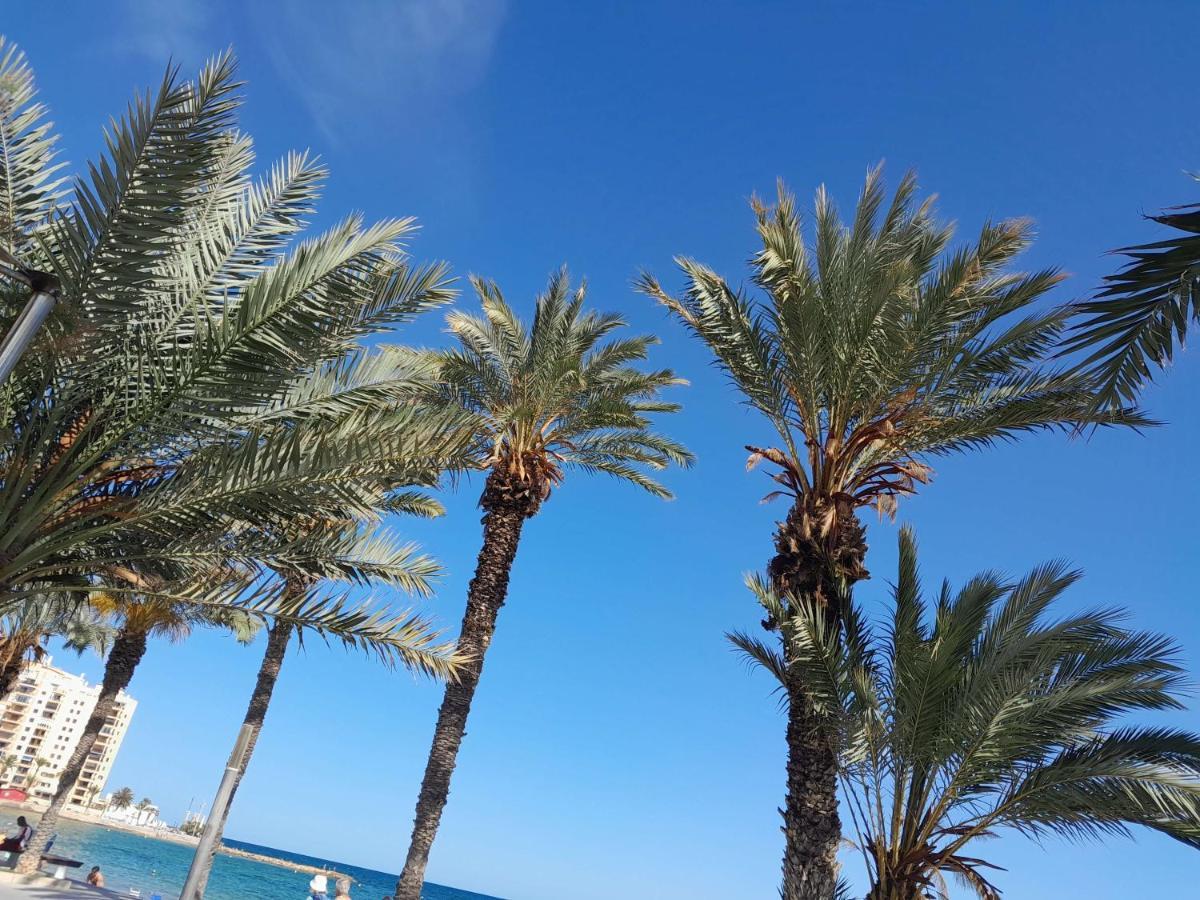 Appartement Stylowy Apartament Harmonia Playa Del Cura, Hiszpania à Torrevieja Extérieur photo