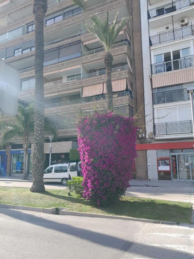 Appartement Stylowy Apartament Harmonia Playa Del Cura, Hiszpania à Torrevieja Extérieur photo